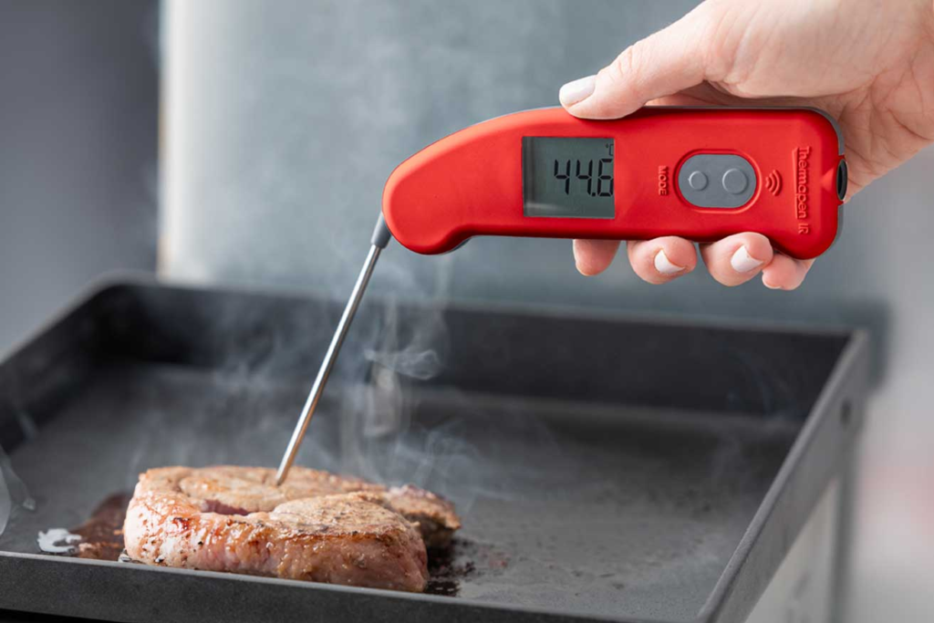 IR Thermapen